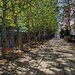 Metrou Leonida, Bloc 2019, Proprietar, 2 Camere 38 mp, Centrala, Parcare